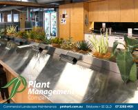 The Plant Management Company image 6